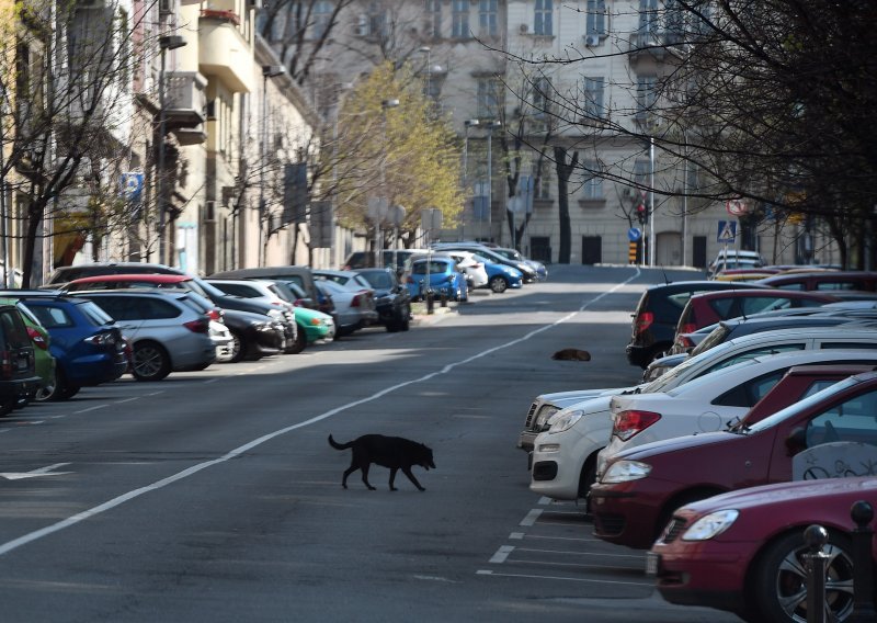 U Srbiji još sedam žrtava covida-19, stručnjaci uvjereni da virus jenjava