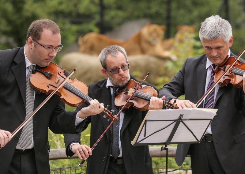 Koncert Turističke zajednice grada Zagreba na dar