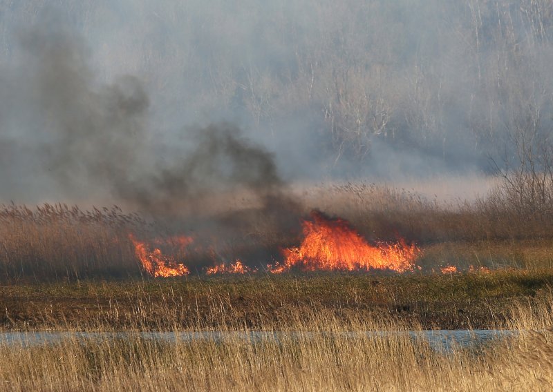 Buknula brojka požara zbog spaljivanja korova; u Varaždinu prošle godine 230