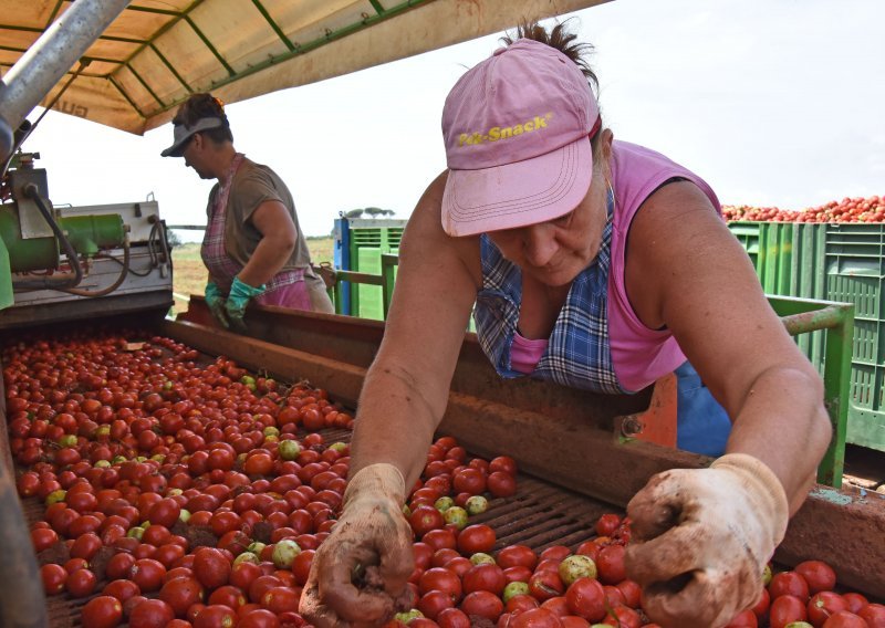 Nezaposlene treba poticati na sezonski rad u poljoprivredi