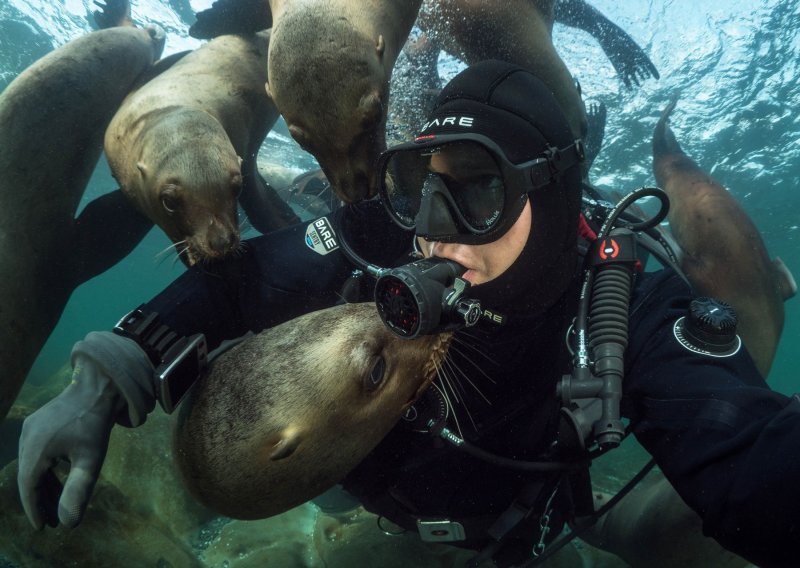 Druželjubivi morski lavovi uživaju u društvu znatiželjne Kanađanke