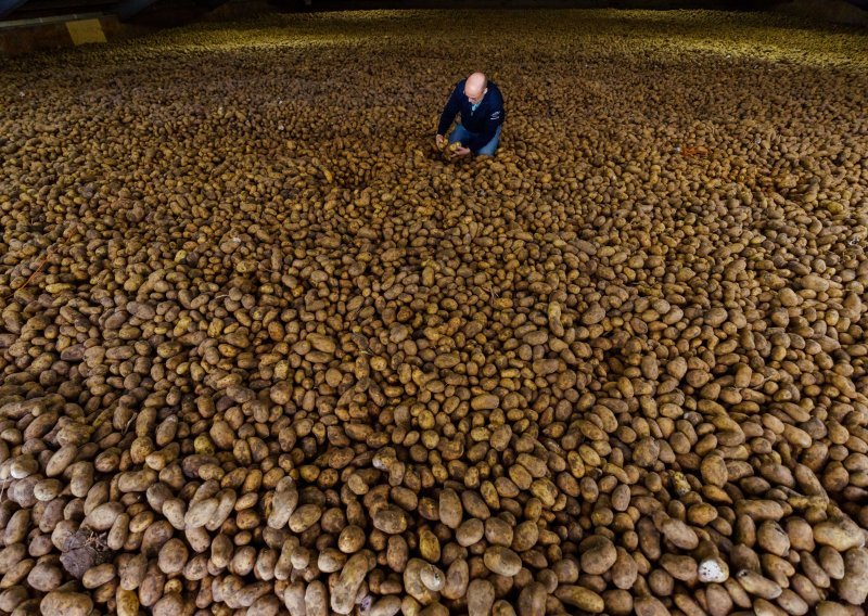 Proizvođači pogođeni koronakrizom mole Belgijance da jedu pomfrit