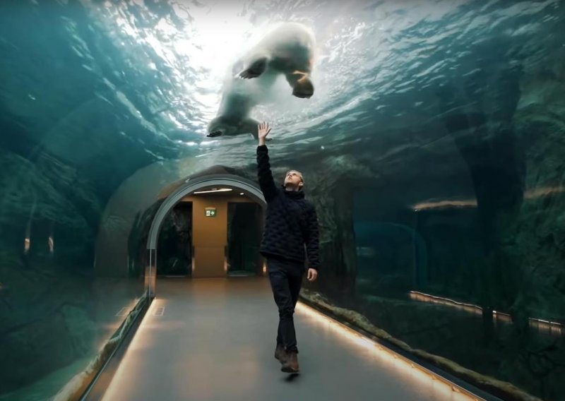 Kako biste se vi osjećali dok polarni medvjedi plivaju iznad vas?