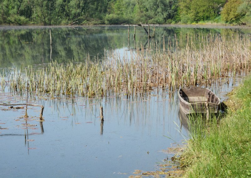 Za posjetitelje ponovo otvoren Park prirode Lonjsko polje