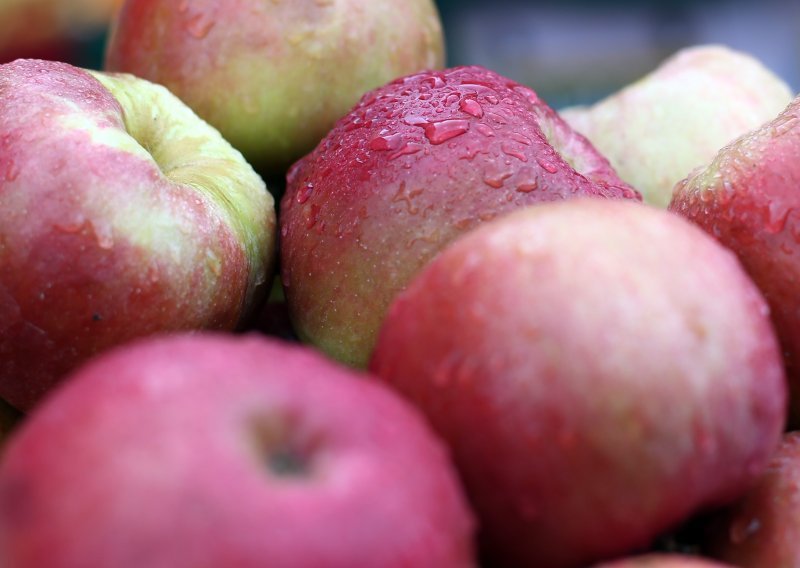 Na američko tzržište stižu GMO jabuke koje ne trunu