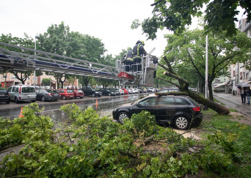 Drvo se srušilo na Malešnici i prikliještilo parkirane automobile