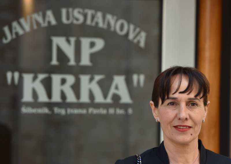 Ljiljana Zmijanović pristupila Škorinom Domovinskom pokretu