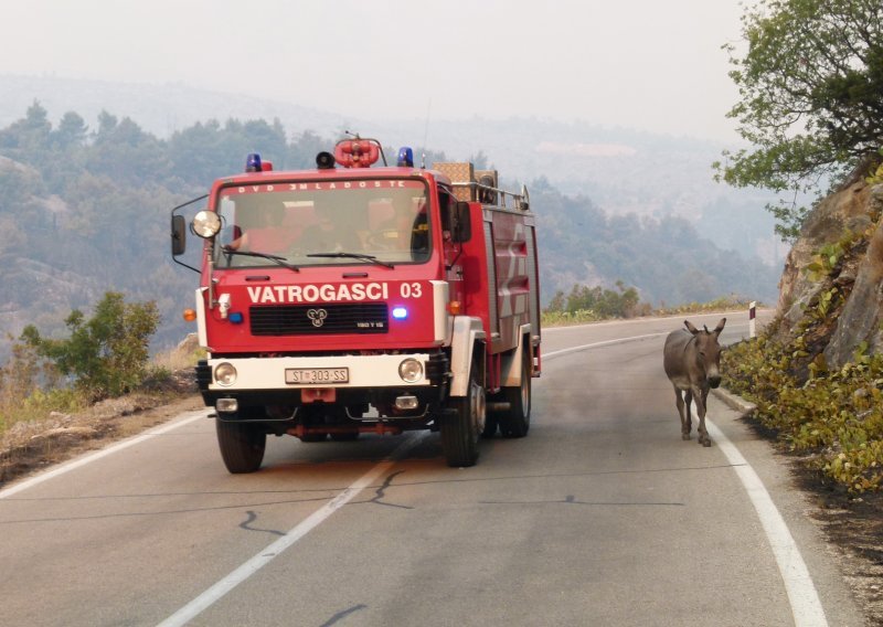 Požar na Braču lokaliziran: Vatrogasci ne ulaze u minski sumnjivo područje, no otkud mine na tom otoku?