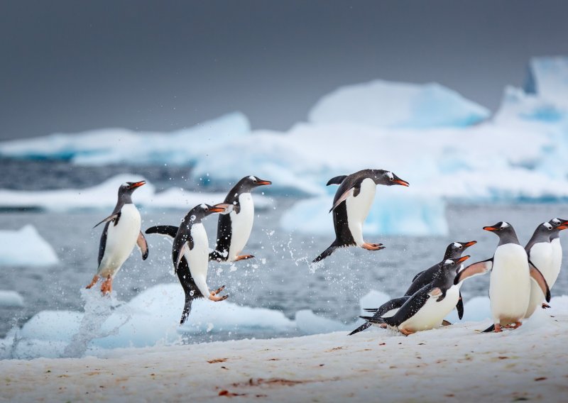 Prijeti nam scenarij s kraja ledenog doba kad se na Antarktici led povlačio 50 metara dnevno