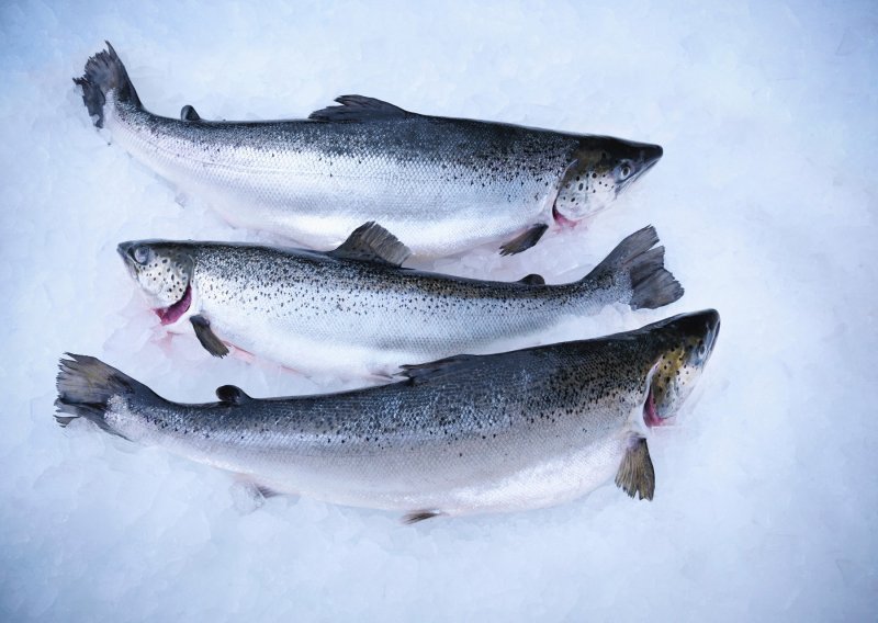 Norveška tvrdi da losos izvezen u Kinu nije zaražen koronavirusom