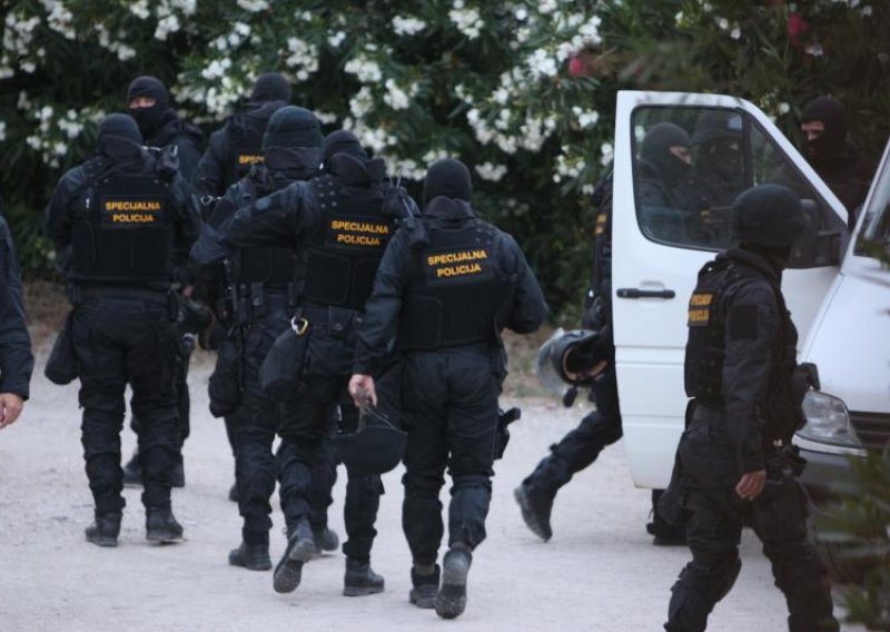 Pupovac špota policiju zbog akcije privođenja u Trpinji