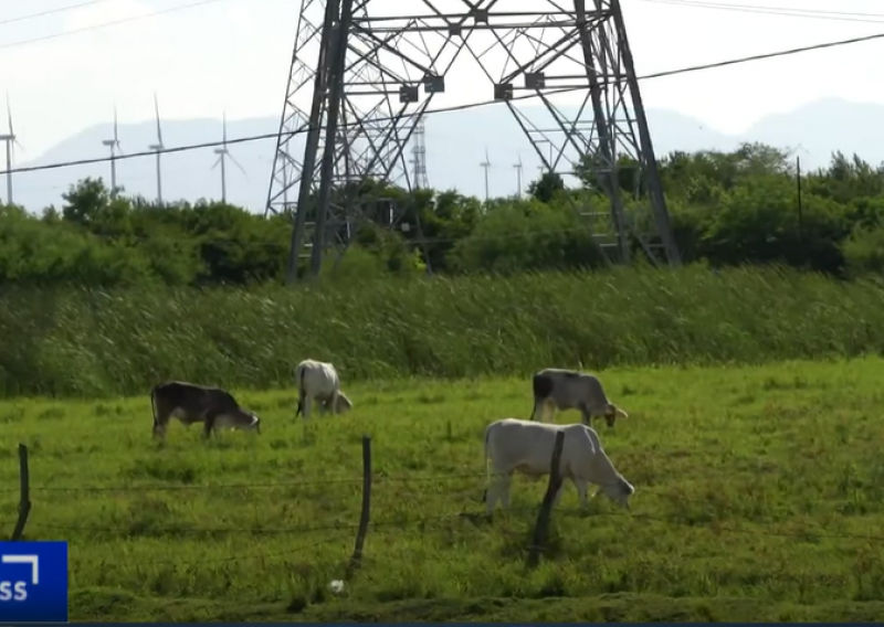 [VIDEO] U sukobima zbog vjetroelektrane ubijeno 15 ljudi