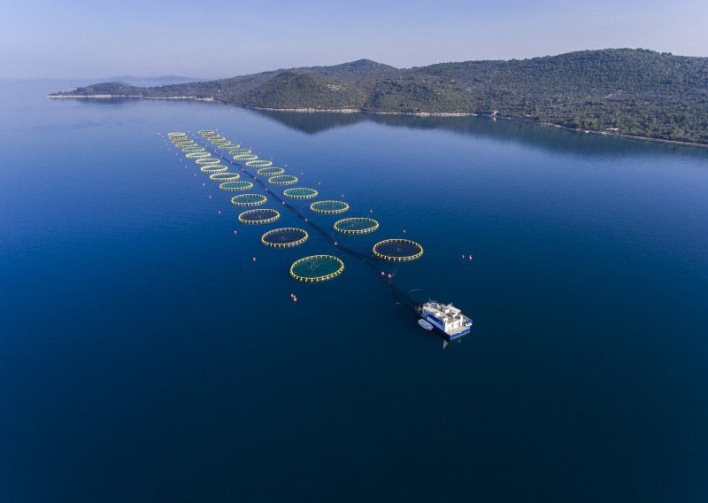 Cromaris u srpnju s rekordnom prodajom, na godišnjoj razini rast od 15 posto