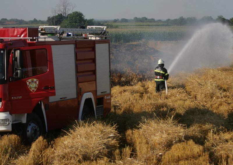 Lokaliziran požar kod Drniša, izgorjela trava, nisko raslinje i tri vinograda na 12 hektara