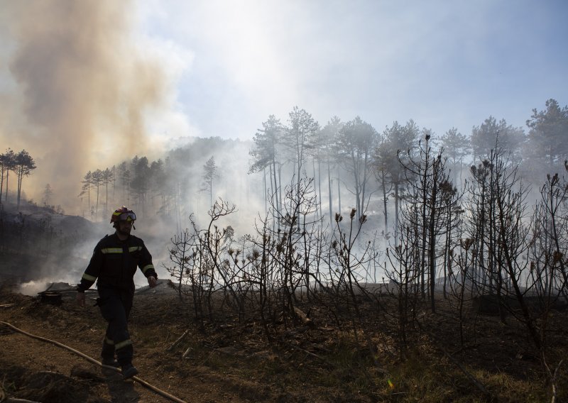 Požar u Vrgorcu u blizini autoceste A1