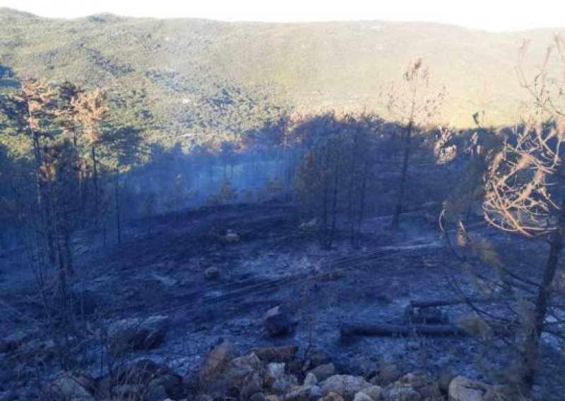 Na požarištu kod Muća stanje povoljnije, vatrogasci će dežurati cijeli dan