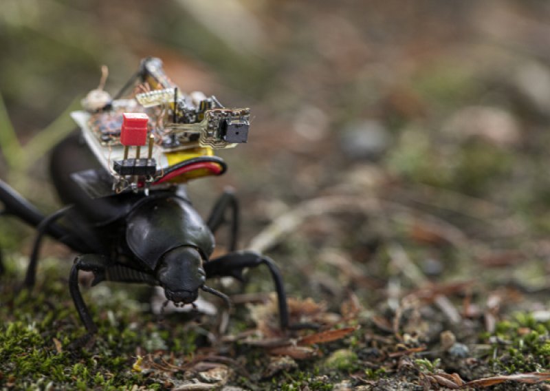 Minijaturna robotska kamera vodi nas u život kukaca