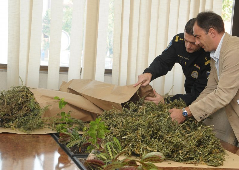 Srpski državljanin uhićen s kilogramom trave
