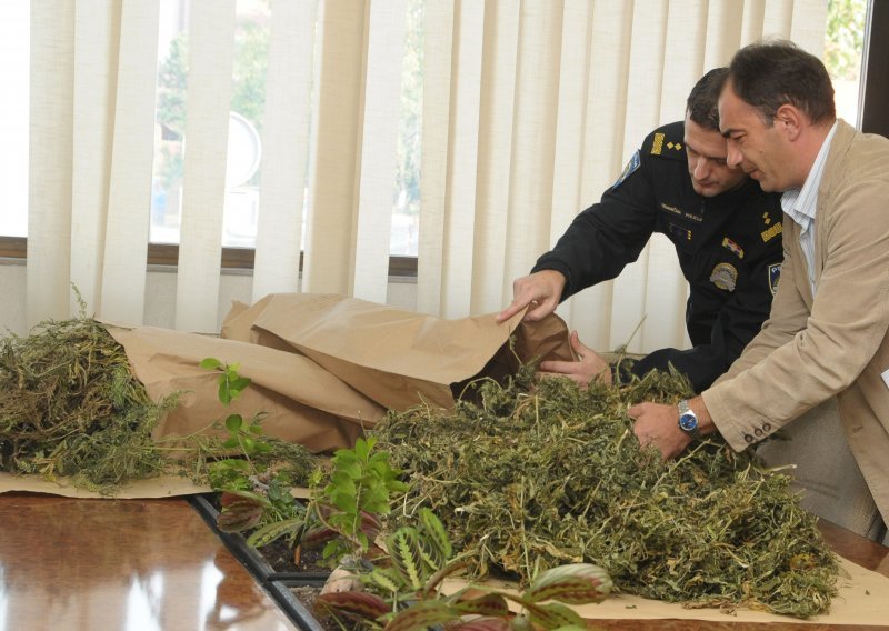 Trojac iz Opuzena 'pao' sa 15 kilograma marihuane