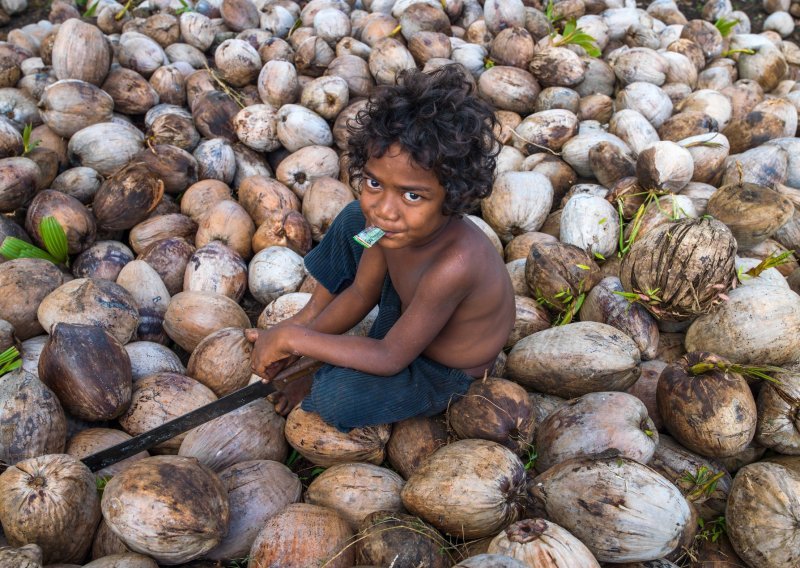 [FOTO] Omraženo palmino ulje manje je štetno za okoliš od kokosova, za kojim su svi poludjeli, a zbog maslinova u Europi ptice doslovce umiru pjevajući