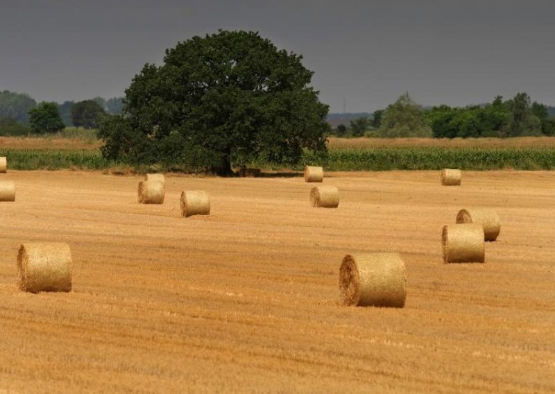 Slavonija i Baranja na koljenima!