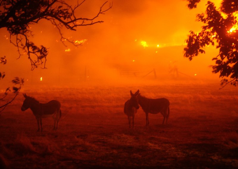 Kalifornijski šumski požari se šire, deseci tisuća ljudi evakuirani