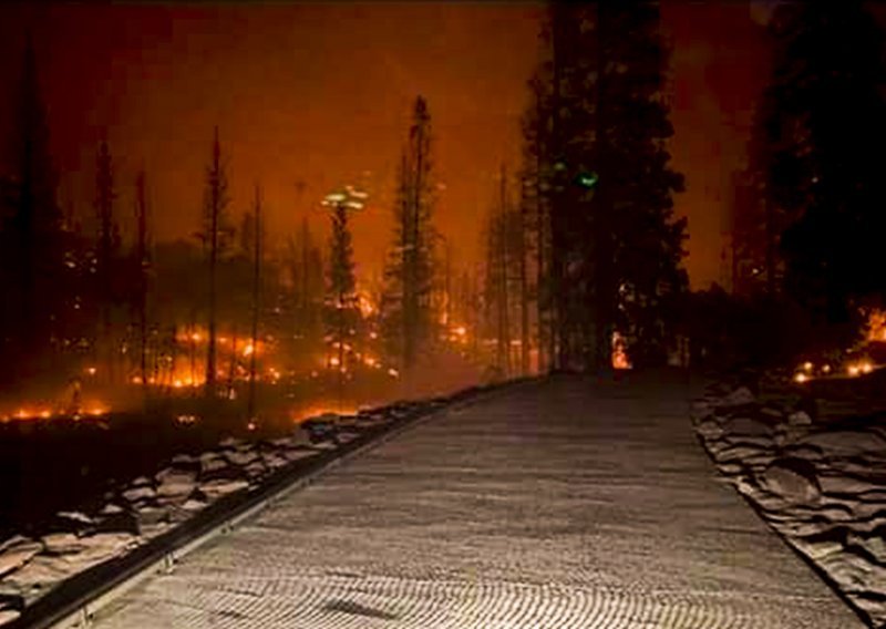 Kaliforniju pogodio toplinski val, temperature se penju do 50 stupnjeva; haraju požari