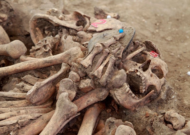 Kod Brežica ekshumirana masovna grobnica iz poraća, ima i ostataka civila i žena