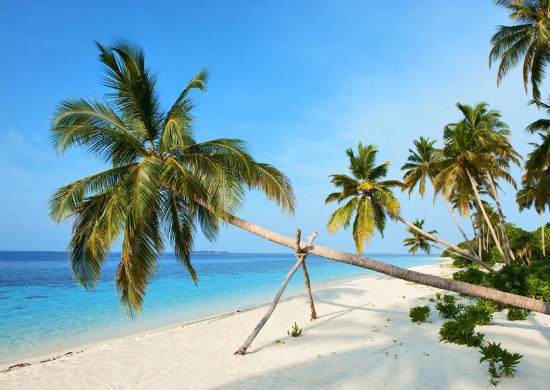 Maštate o radu 'od kuće' uz tirkizni ocean, sunce i palme? Nije nemoguće