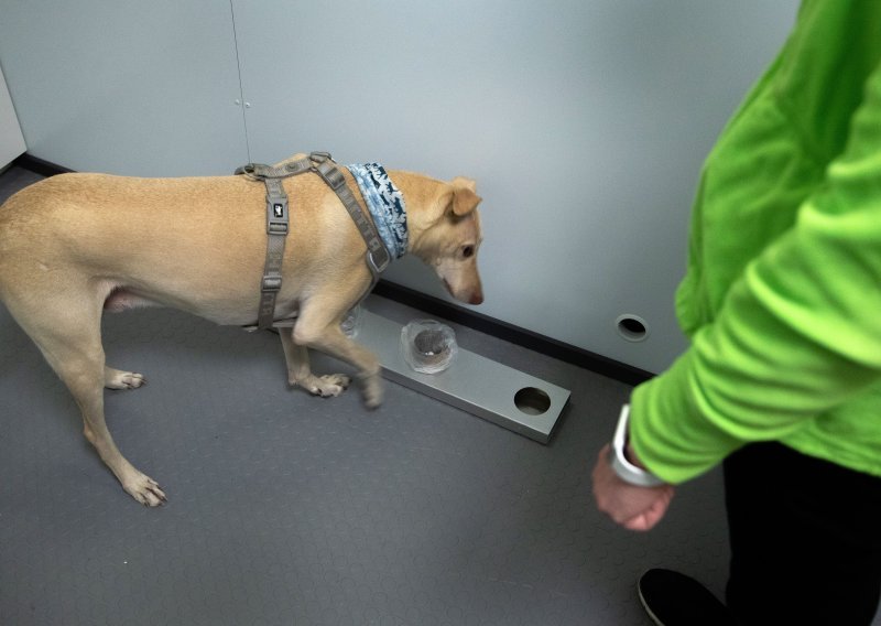Na aerodromu u Helsinkiju psi njuše koronavirus