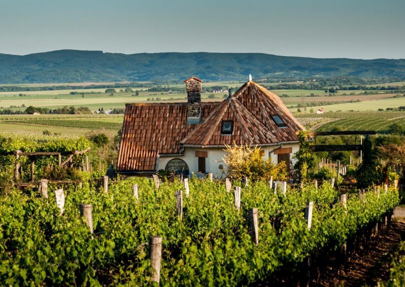 [FOTO] Sigurni smo da niste imali pojma da ovako nešto možete naći u Slavoniji - od luksuznih vila do kuća za robinzonski odmor