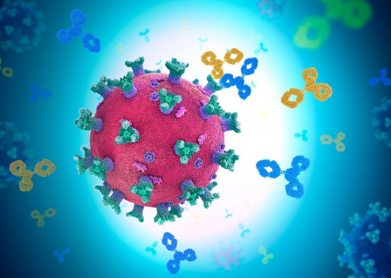 Znanstvenici zapisali kako se imune stanice bore i pamte infekcije, a njihov rad sad je besplatno dostupan svim istraživačima