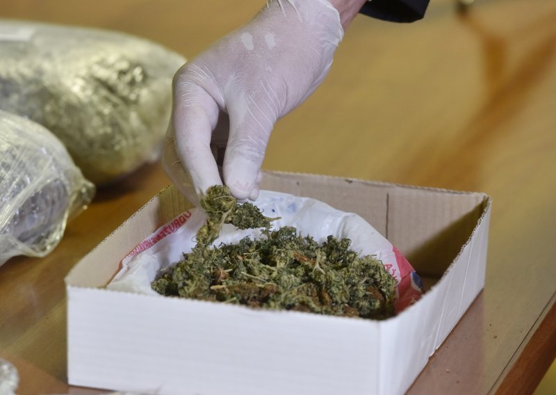 Makaranin ostao bez 750 grama i 28 stabljika marihuane