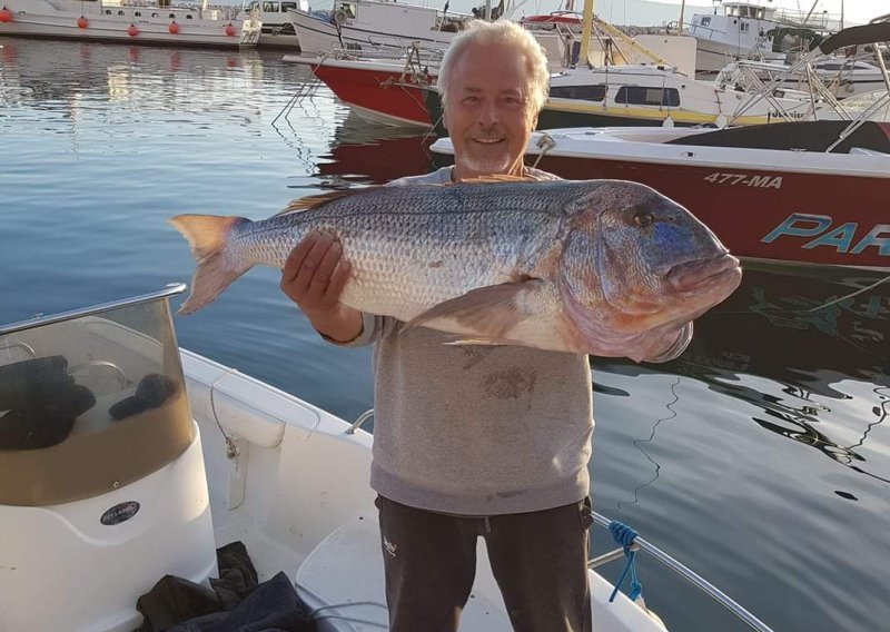 [FOTO] Ugostitelj iz Podgore uspješno zaključio sezonu: Izvukao zubaca od 11 kilograma