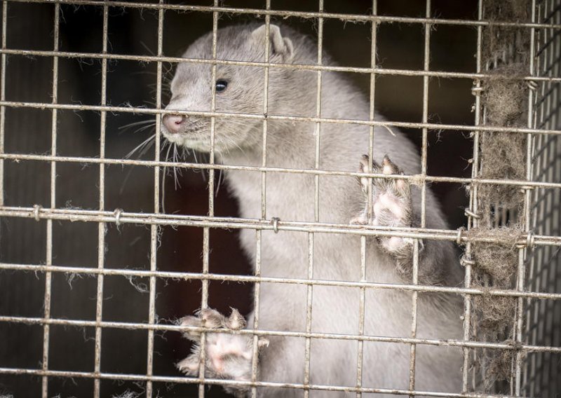 [FOTO] Zatvara se područje gdje je u kunama otkriven mutirani koronavirus, zaraženo je već 214 osoba