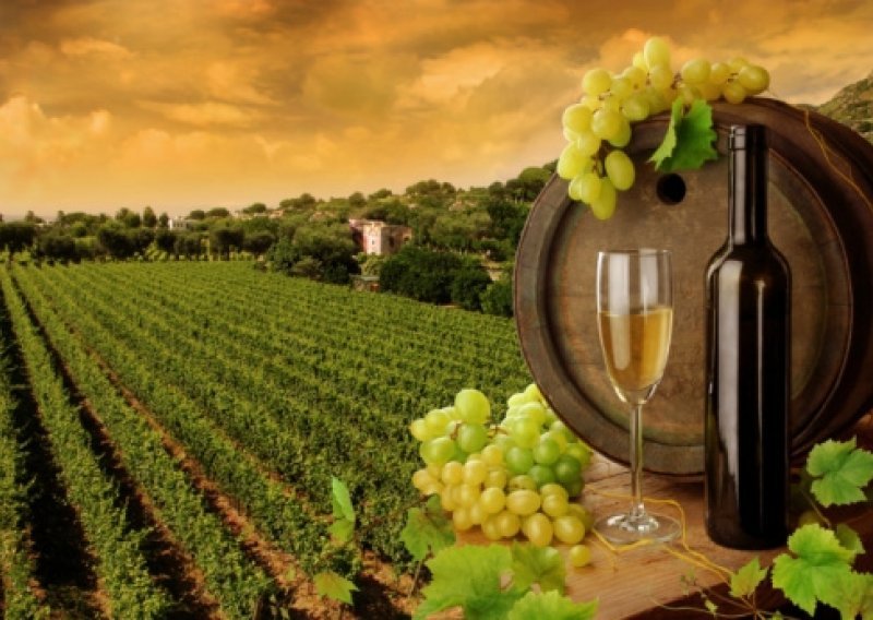 Benetton kreće u proizvodnju vina