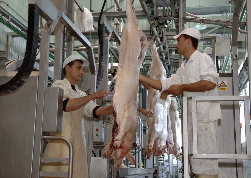 'Tržište svinjetine u Hrvatskoj se srušilo, masovno se uvozi meso s tržišta pogođenih svinjskom kugom'