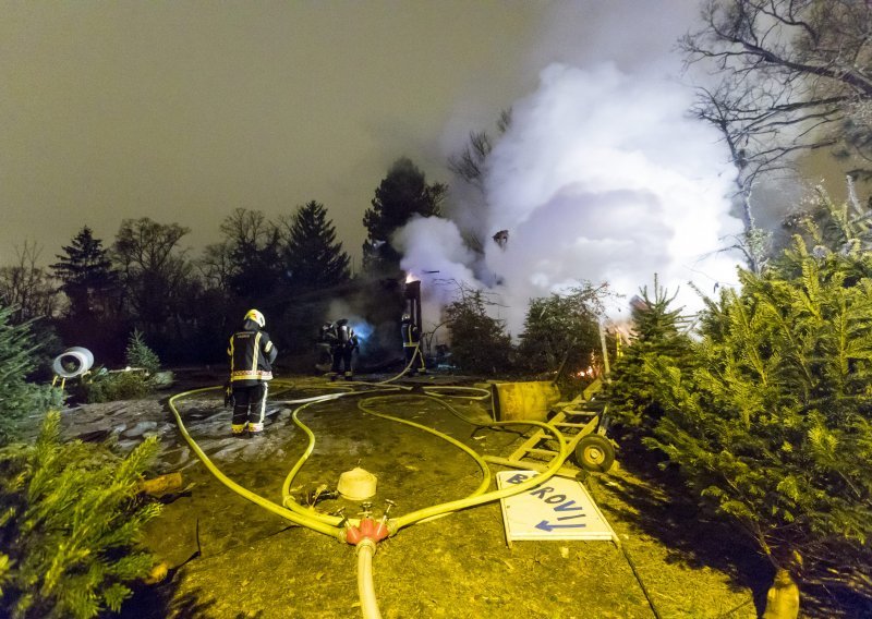 [FOTO] Vatrena stihija na Mirogoju, sukljao gusti dim: U dvorištu preko puta groblja planuli borovi i barake