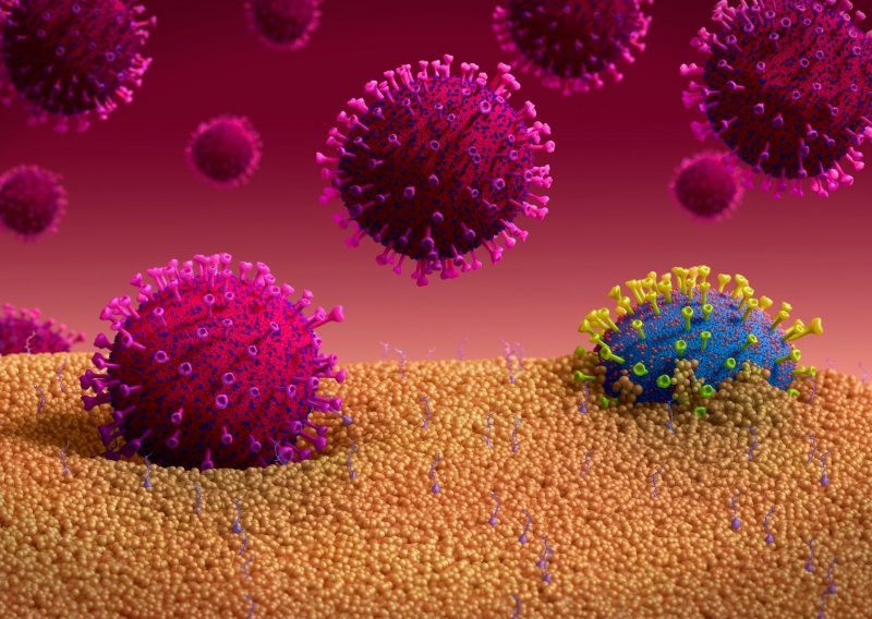 Die Welt: Novi soj koronavirusa u Njemačkoj je od studenog