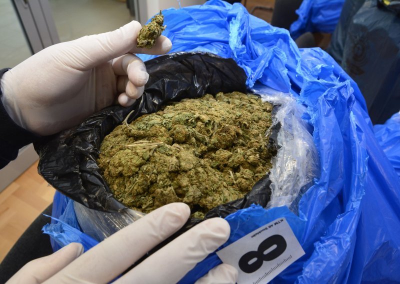 Policija zaplijenila 10 kg marihuane