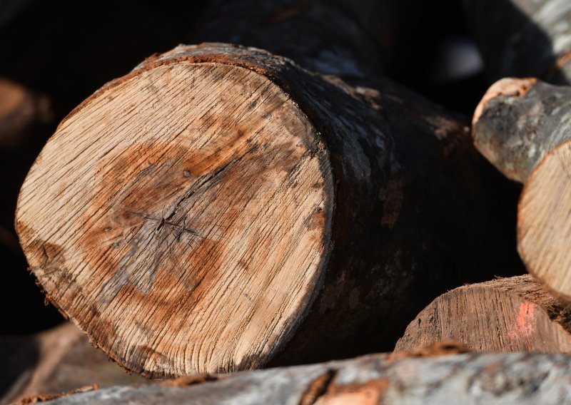 Deset milijuna kuna pomoći drvoprerađivačima na potresom pogođenim područjima
