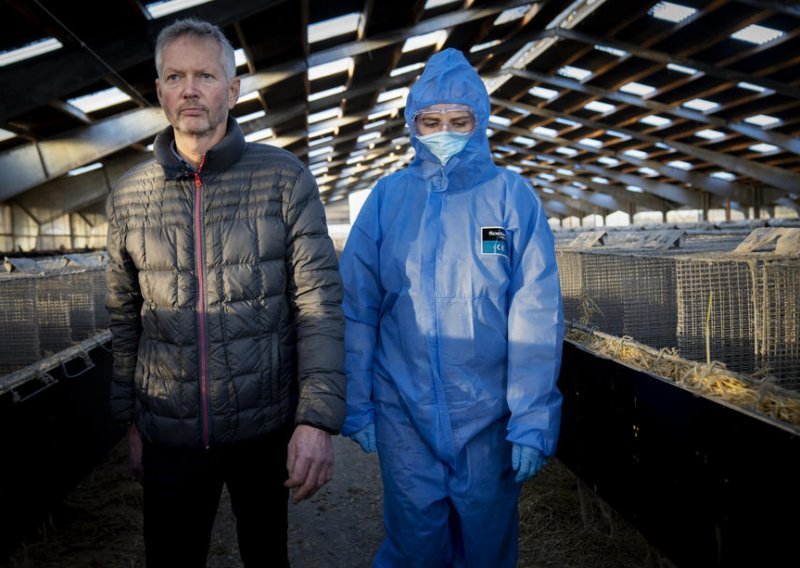 Danska će uzgajivačima nerčeva platiti milijarde kruna zbog zatvaranja farmi