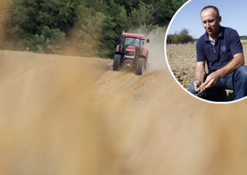 Nova pravila za potpore izazvala buru, stručnjak za poljoprivredu objašnjava o čemu je zapravo riječ i imaju li poljoprivrednici i stočari razlog za dizanje bune