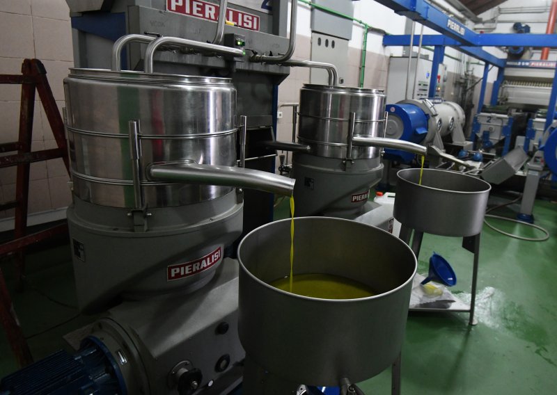 Lažna etiketa otkrivena na 50 posto ekstradjevičanskih maslinovih ulja