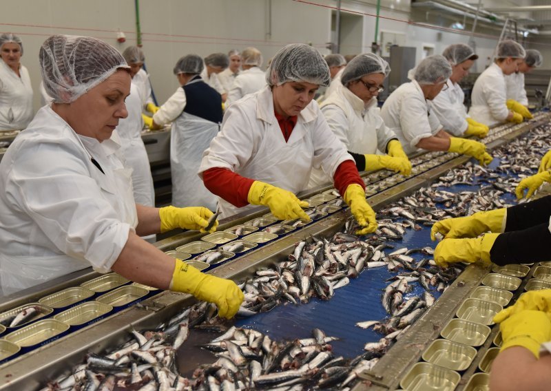 [VIDEO] Ribarstvo je muški posao? Od Savudrije do Komiže, stižu priče o ženama u ribarstvu