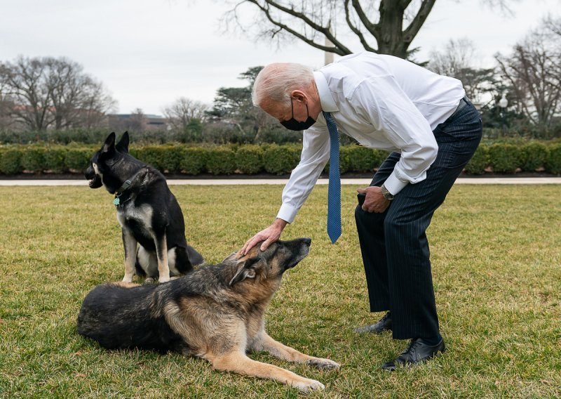 Bijela kuća ponovno bez kućnih ljubimaca: Zbog agresivnog ponašanja psi Joea Bidena vraćeni u Delaware