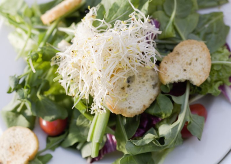 Super proljetna salata kojoj nećete odoljeti