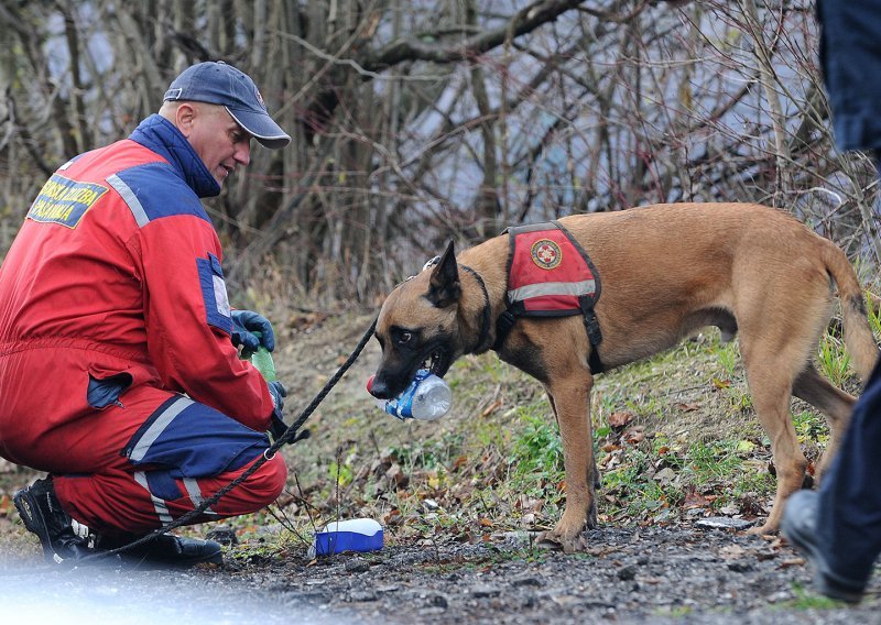 Kosti pripadaju mlađoj ženskoj osobi