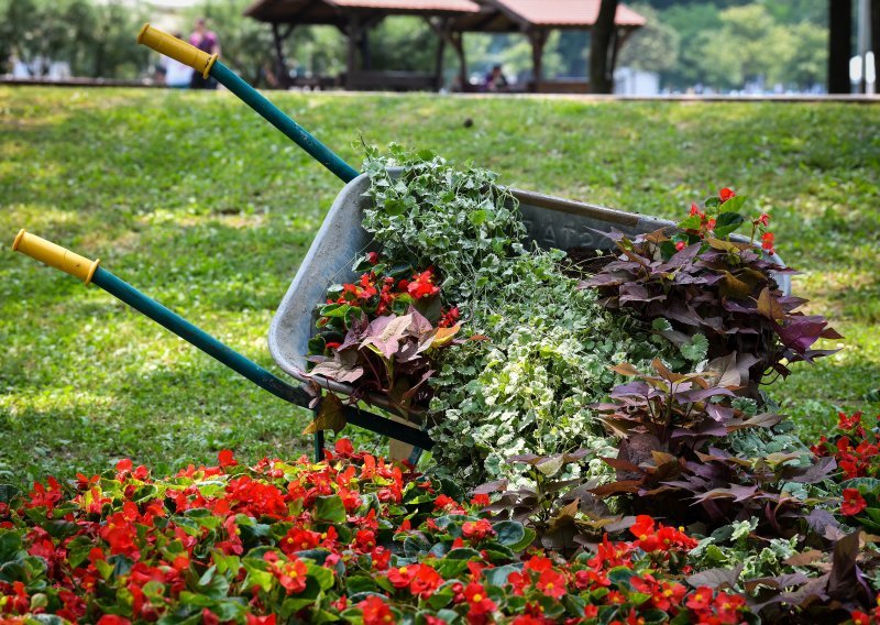 Vraća se Floraart: Bundek se nakon lanjske pauze ponovno pretvara u cvjetnu oazu