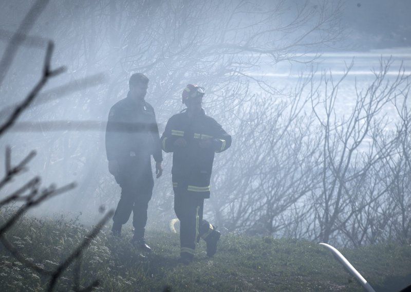 U požaru u Parku prirode Hutovo blato izgorjela površina od 10 hektara